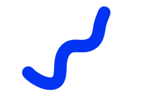 Web Wave SEO Logo